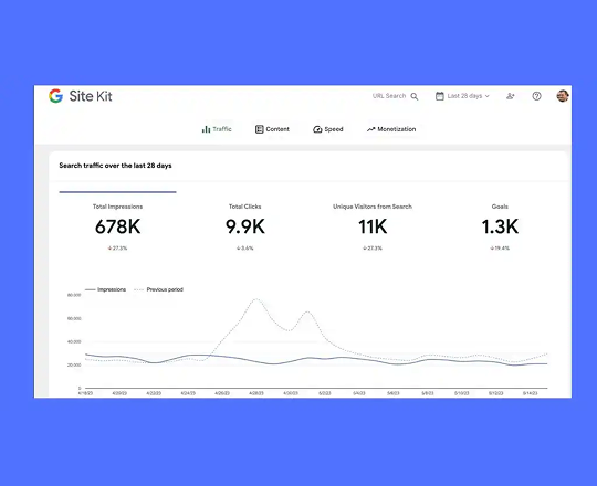 Website Sales Results